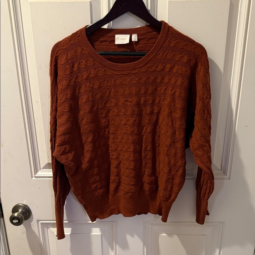Chic Women's Cozy Rust Crew Neck Sweater